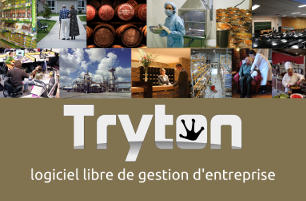 Serveur virtuel pré-installé Tryton pour entreprise en ligne 1 an